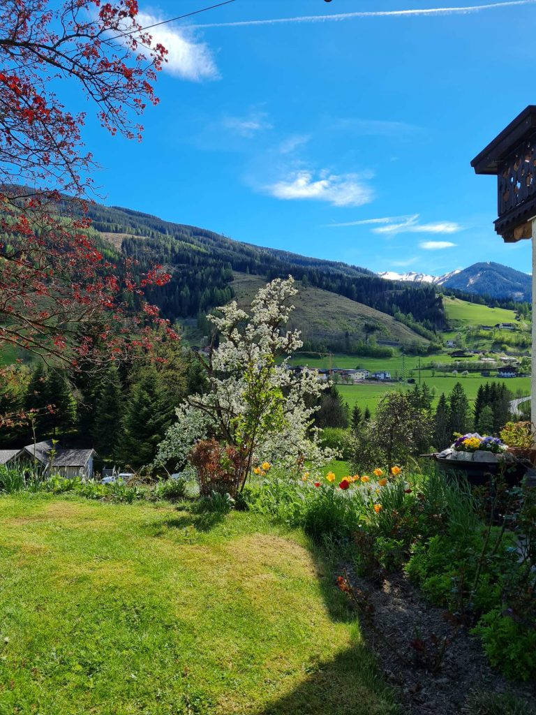 Panoramablick auf die Salzburger Berge mit blühenden Pflanzen und klar blauem Himmel.